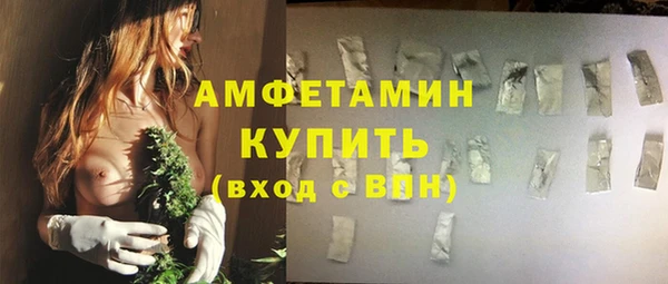 ГАЛЛЮЦИНОГЕННЫЕ ГРИБЫ Козловка