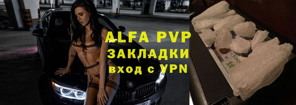 ГАЛЛЮЦИНОГЕННЫЕ ГРИБЫ Козловка