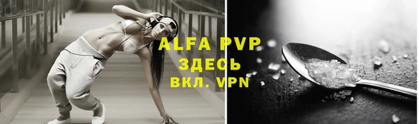 ГАЛЛЮЦИНОГЕННЫЕ ГРИБЫ Козловка