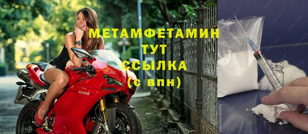 ГАЛЛЮЦИНОГЕННЫЕ ГРИБЫ Козловка