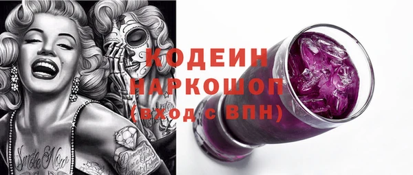 ГАЛЛЮЦИНОГЕННЫЕ ГРИБЫ Козловка
