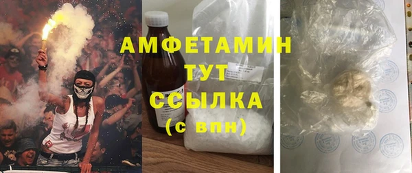 ГАЛЛЮЦИНОГЕННЫЕ ГРИБЫ Козловка
