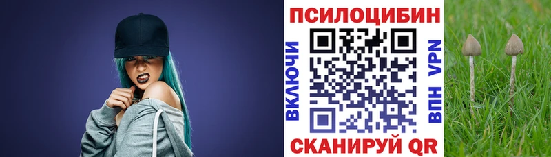 Купить где  Благодарный  Галлюциногенные грибы мухоморы 