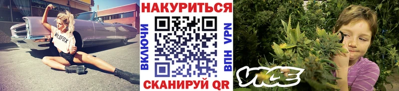 Конопля ГИДРОПОН Благодарный